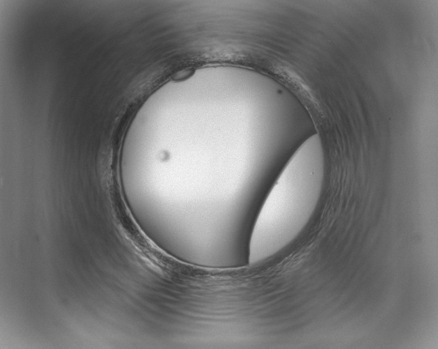 X0000073870490200608101111