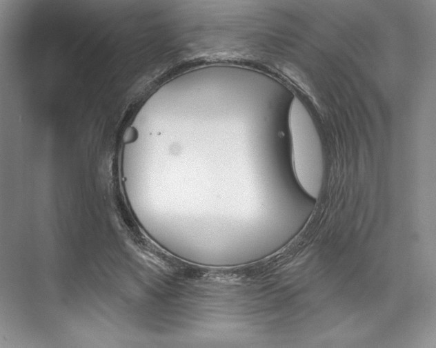 X0000073870491200608101111