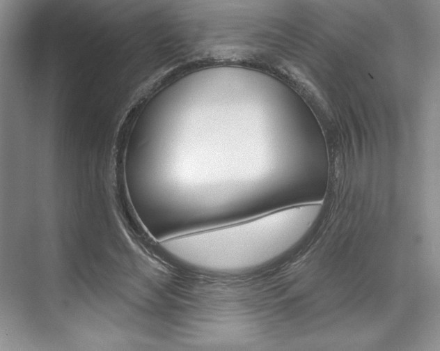 X0000073870492200608101111