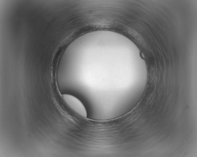 X0000073870494200608101111