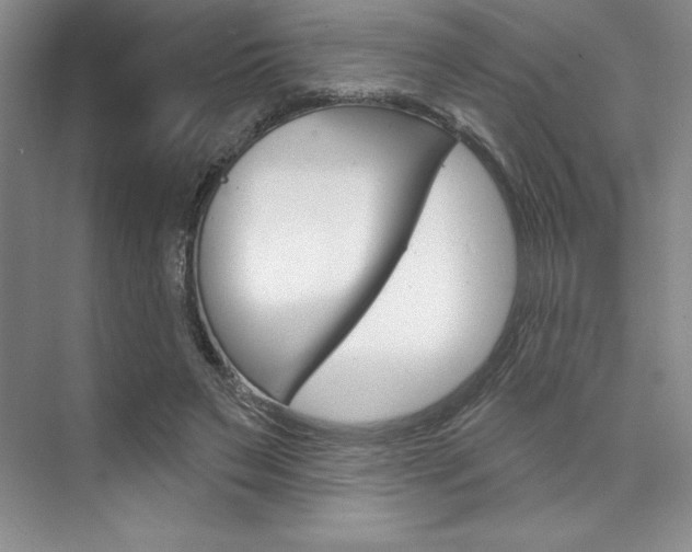 X0000073870495200608101111