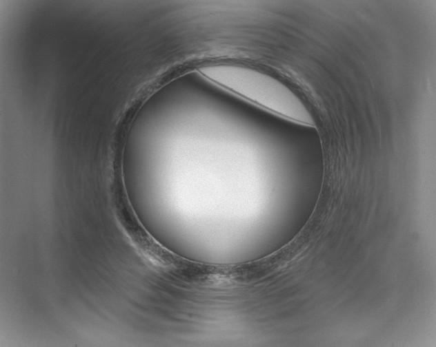 X0000073870496200608101111