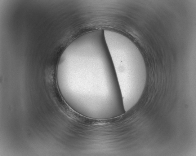 X0000073870499200608101110