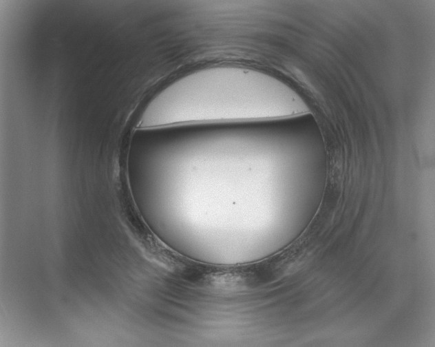 X0000073870500200608101110