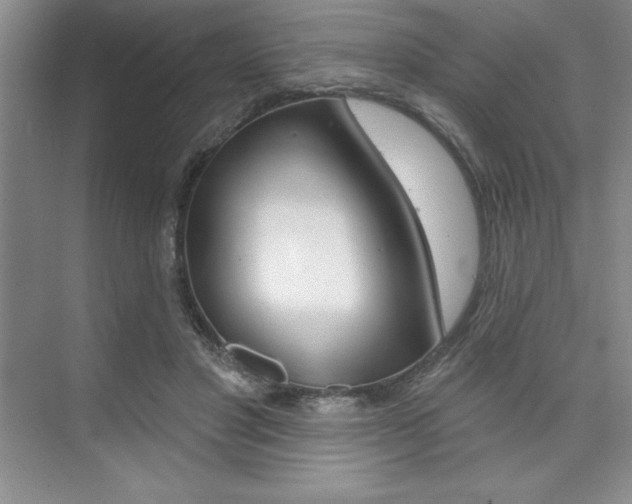 X0000073870501200608101110