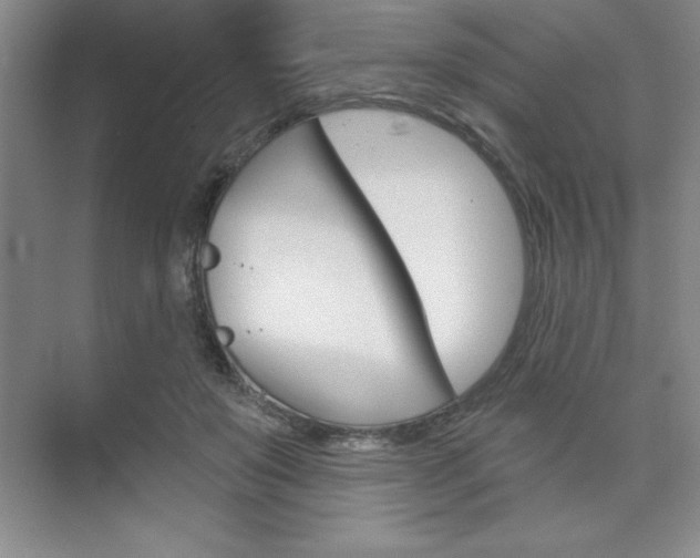 X0000073870503200608101110