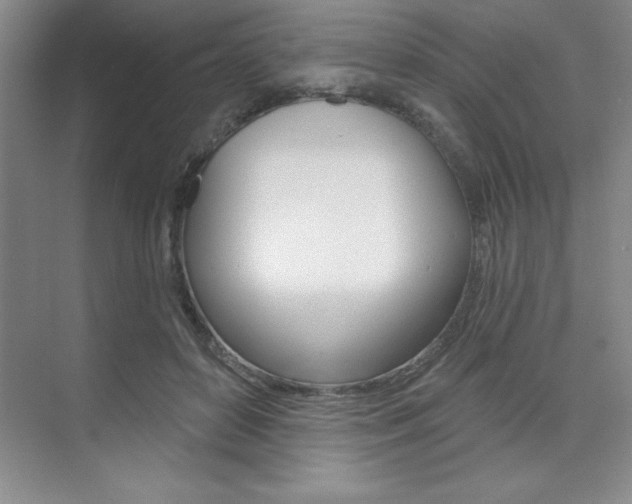 X0000073870504200608101110