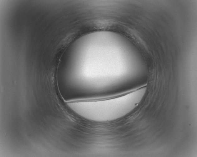 X0000073870505200608101110