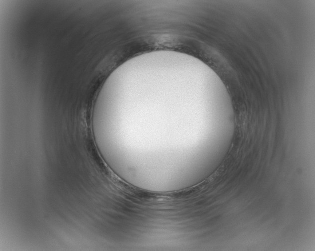 X0000073870506200608101110