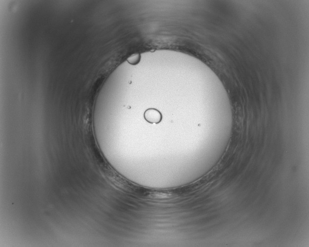 X0000073870507200608101110