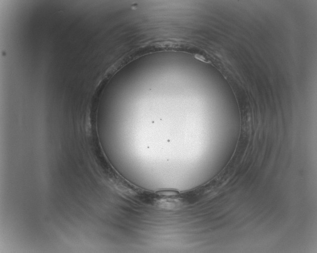 X0000073870508200608101110