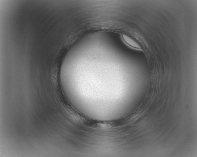 X0000073870509200608101110