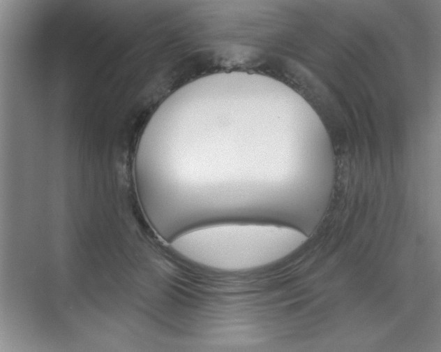 X0000073870510200608101110