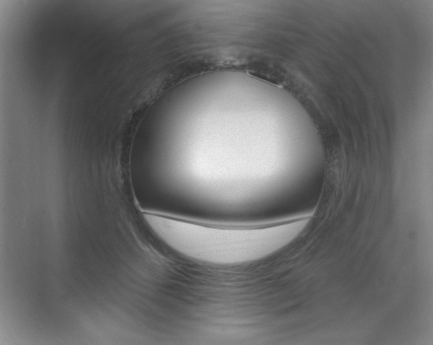 X0000073870512200608101110