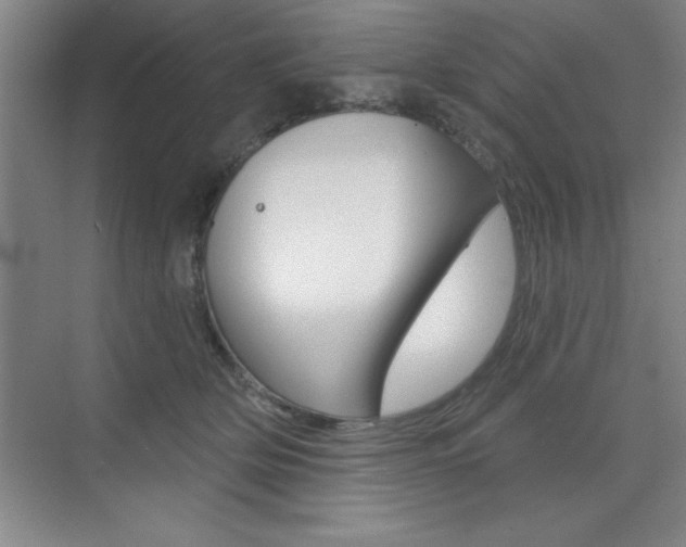 X0000073870514200608101110