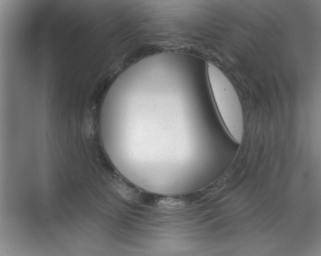 X0000073870515200608101110