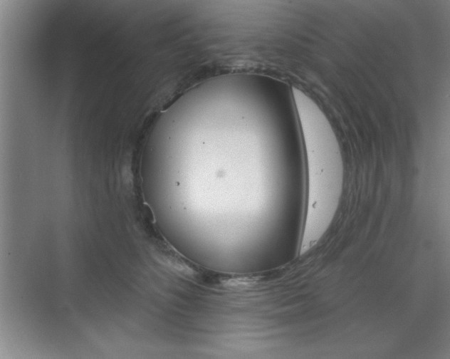 X0000073870516200608101110