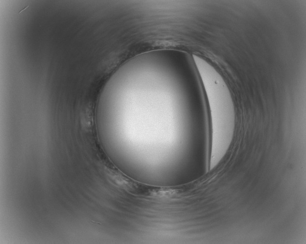 X0000073870517200608101110