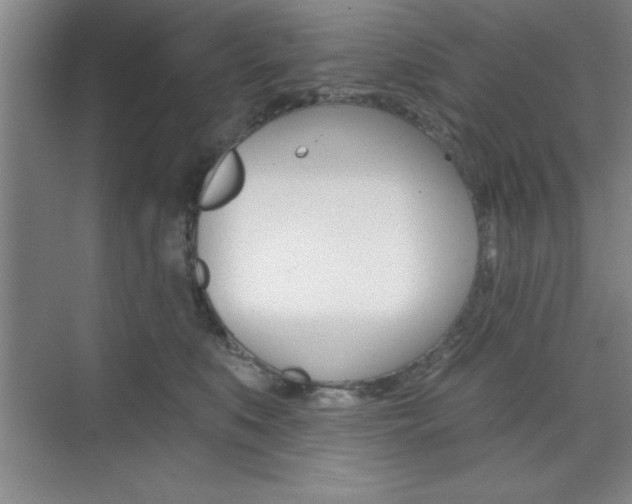 X0000073870519200608101110