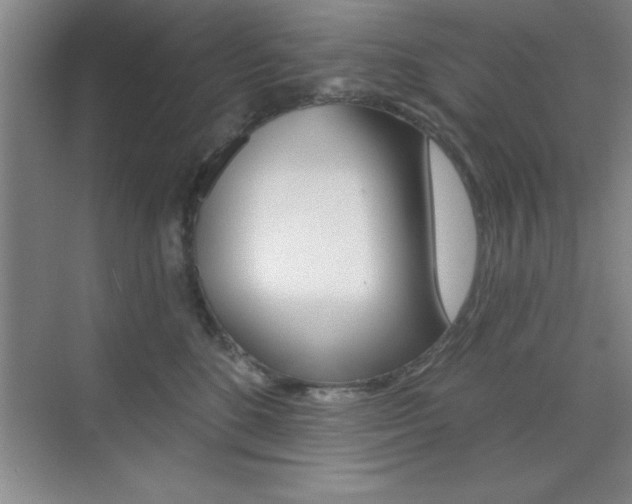 X0000073870520200608101110