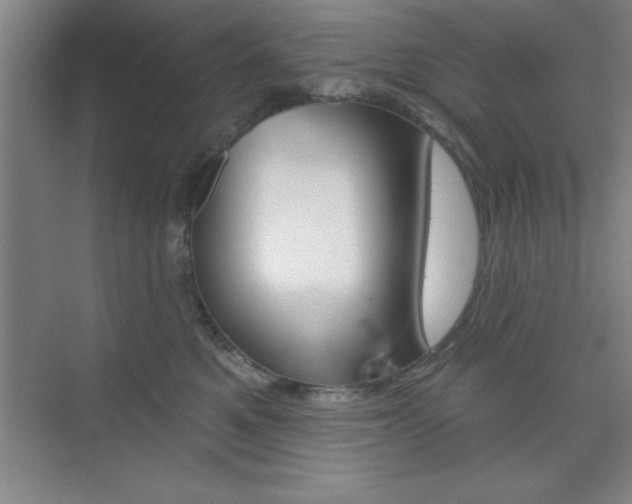 X0000073870521200608101110