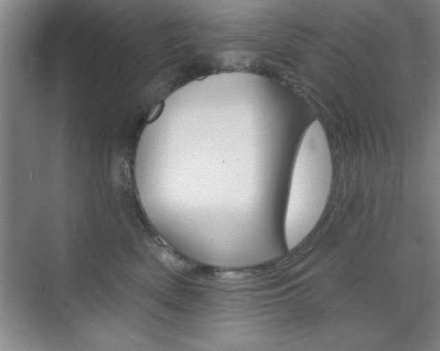 X0000073870522200608101110