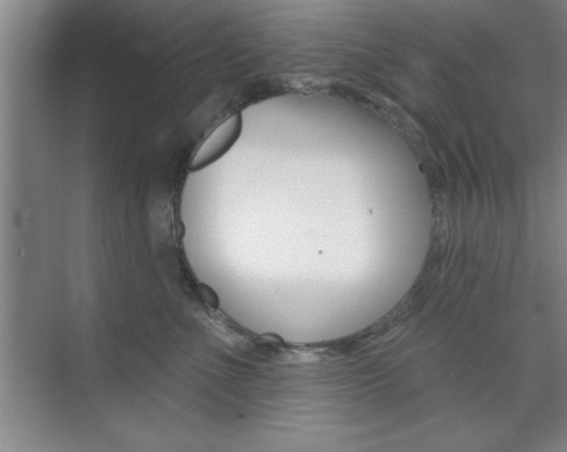 X0000073870523200608101110