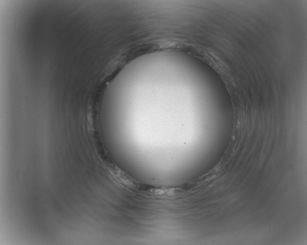 X0000073870524200608101110