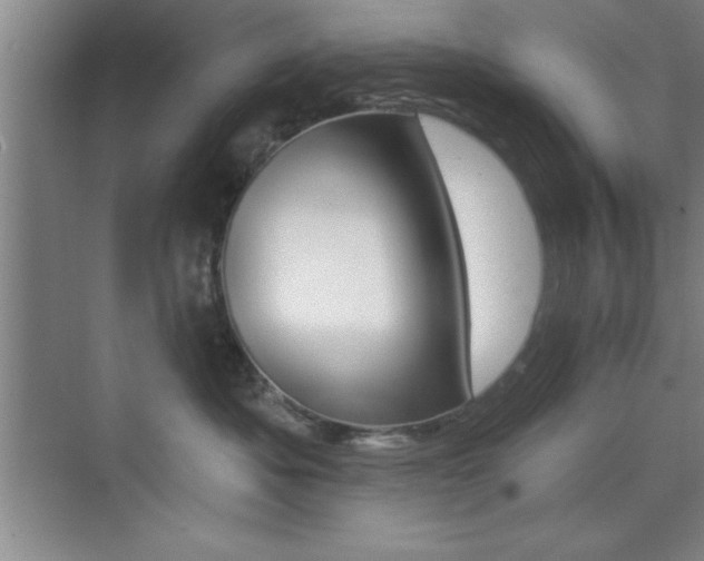 X0000073870525200608101110