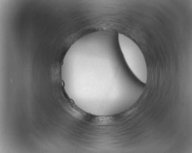 X0000073870526200608101110