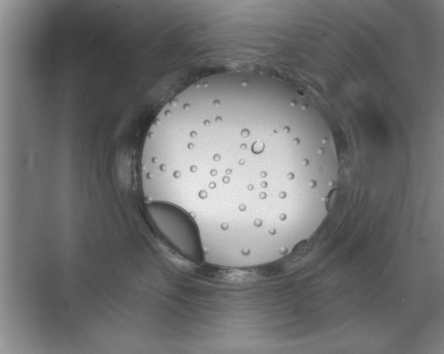 X0000073870527200608101110