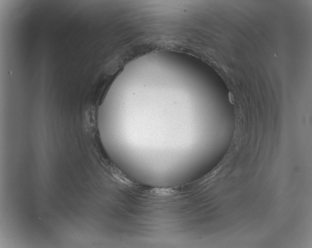 X0000073870528200608101110