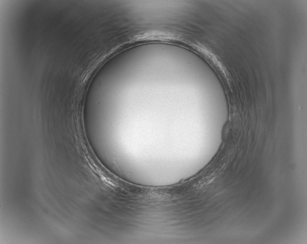 X0000073870529200608101109