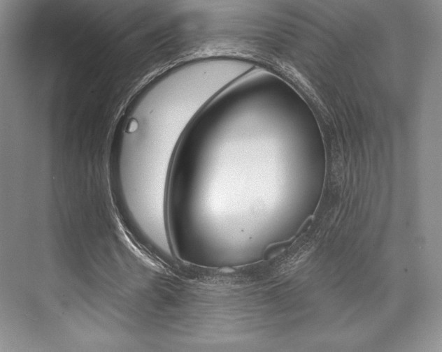 X0000073870530200608101109