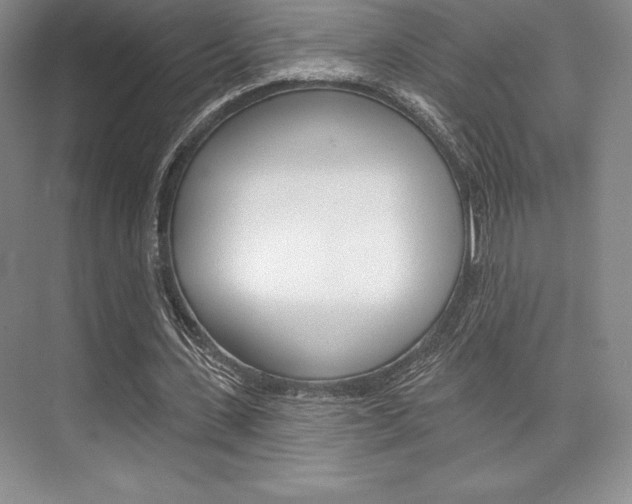 X0000073870531200608101109