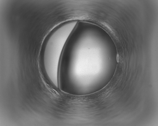 X0000073870532200608101109