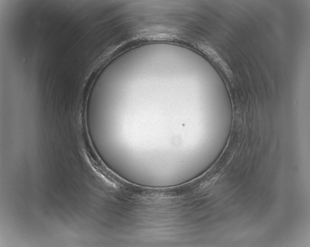 X0000073870533200608101109