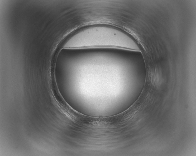 X0000073870535200608101109