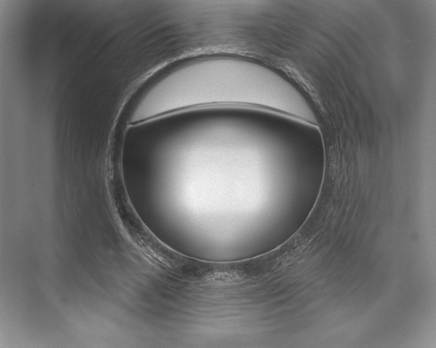 X0000073870536200608101109