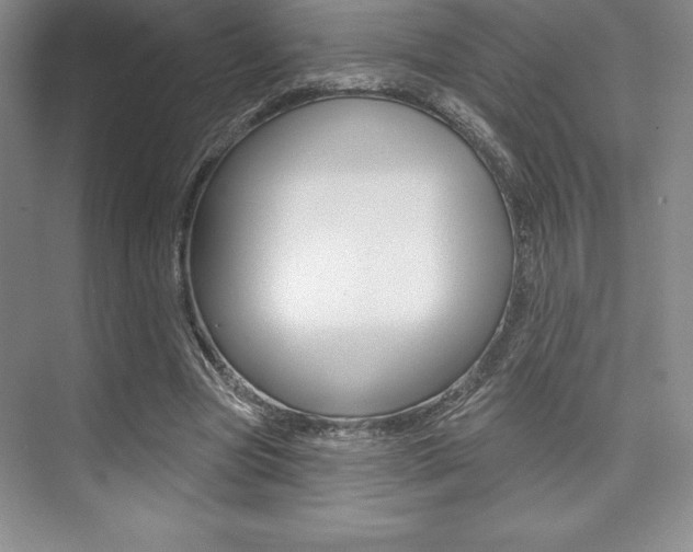 X0000073870537200608101109