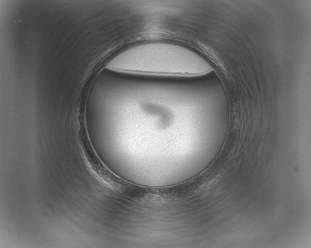 X0000073870538200608101109