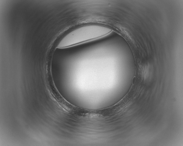 X0000073870539200608101109