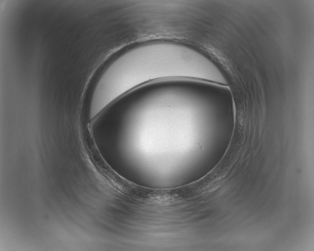 X0000073870540200608101109