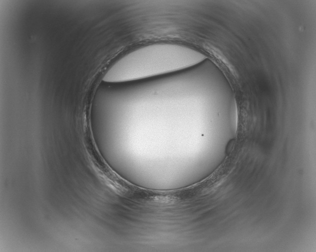 X0000073870541200608101109