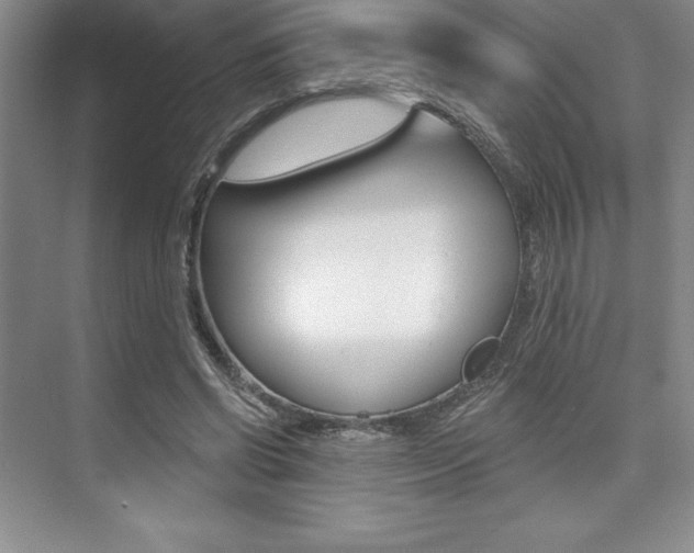 X0000073870542200608101109