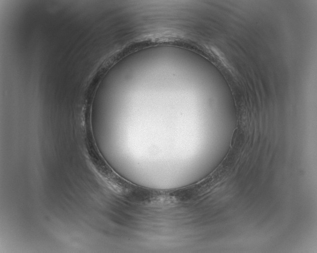 X0000073870543200608101109