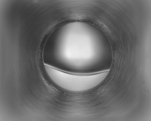 X0000073870544200608101109