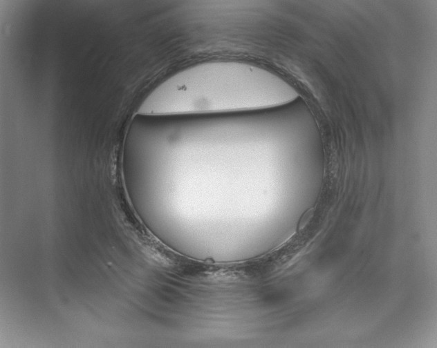 X0000073870545200608101109