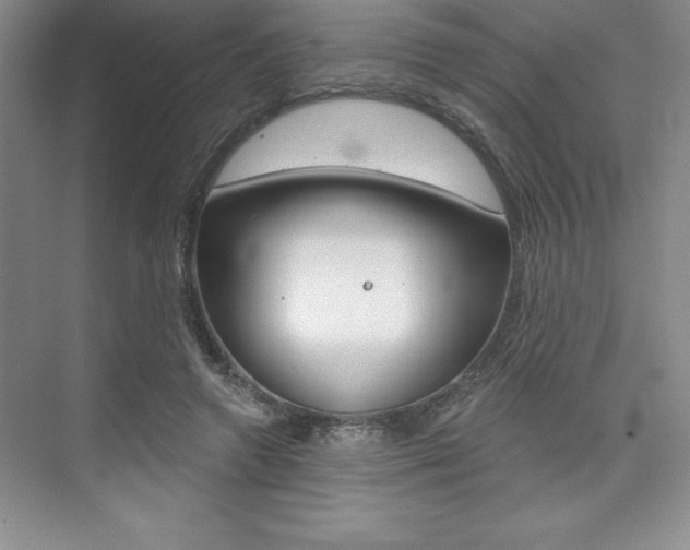 X0000073870546200608101109