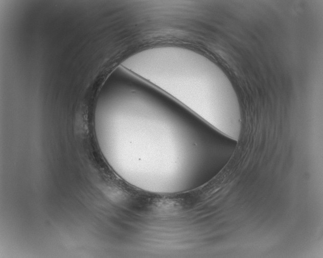 X0000073870547200608101109